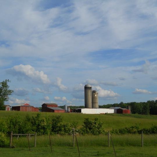 Photo 3 from Capital Region Land Conservancy