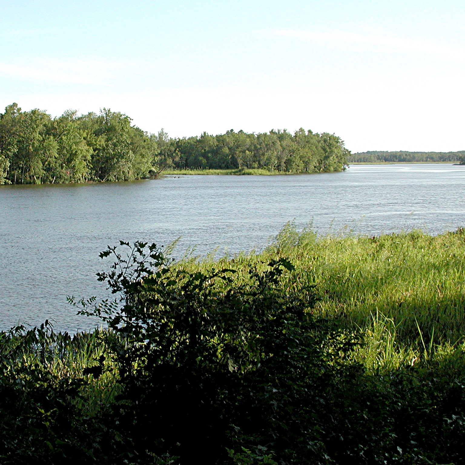 Photo 4 from Capital Region Land Conservancy