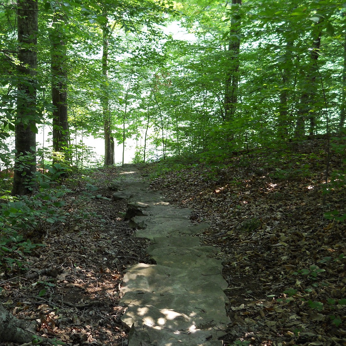 Photo 5 from Capital Region Land Conservancy