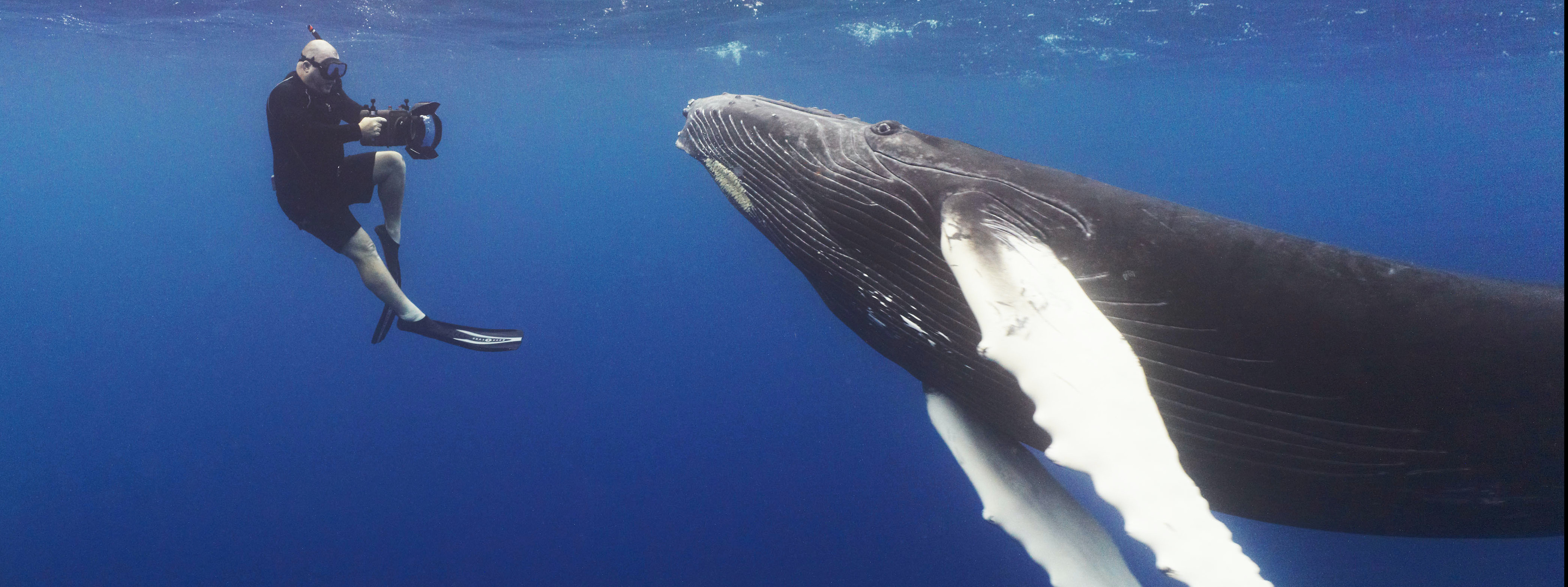 Oceanic Preservation Society