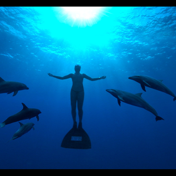 Photo 7 from Oceanic Preservation Society