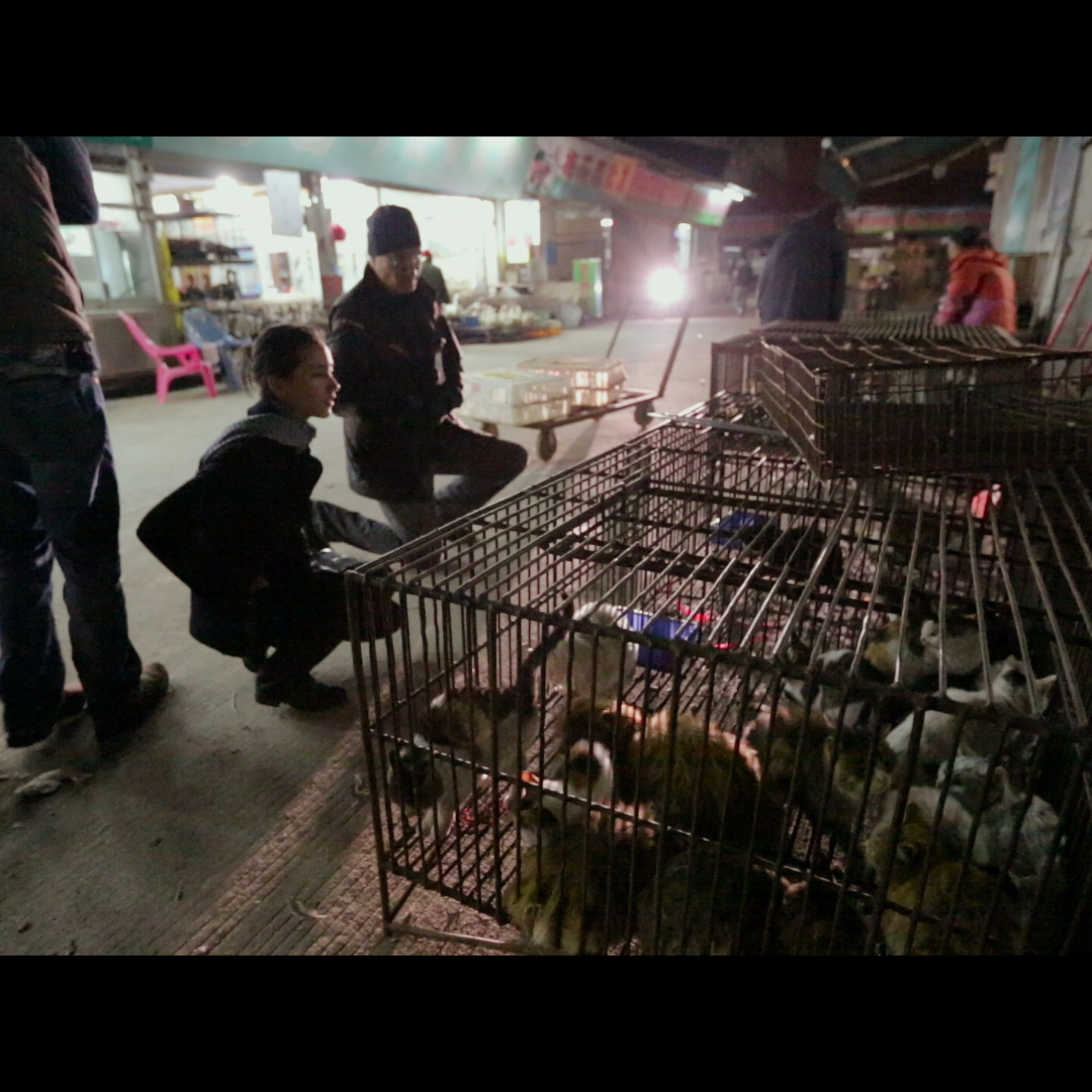 Photo 9 from Oceanic Preservation Society