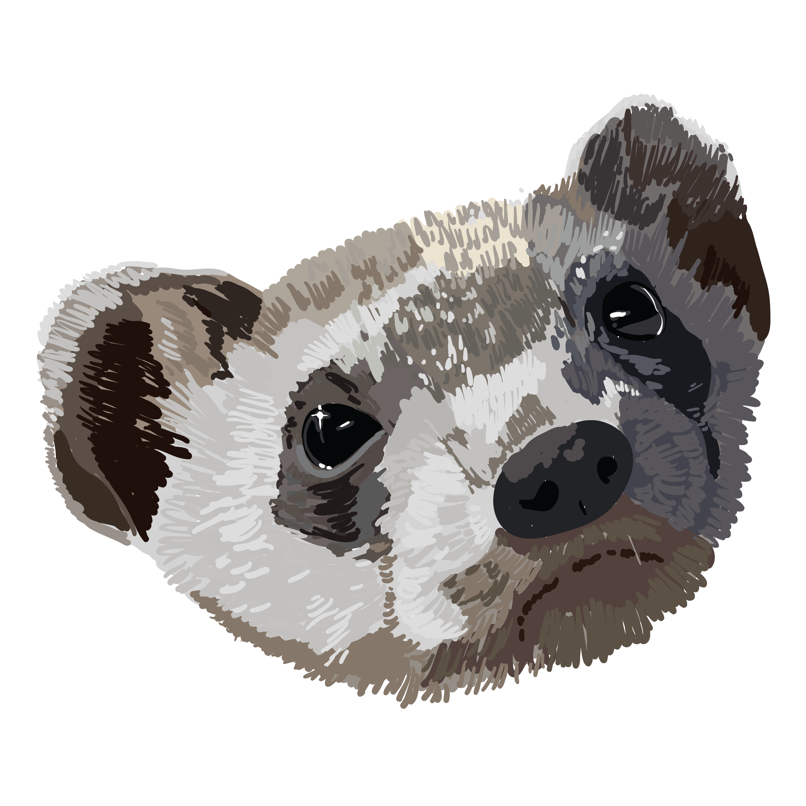 Photo 3 from ROCKY MOUNTAIN WILD INCORPORATED