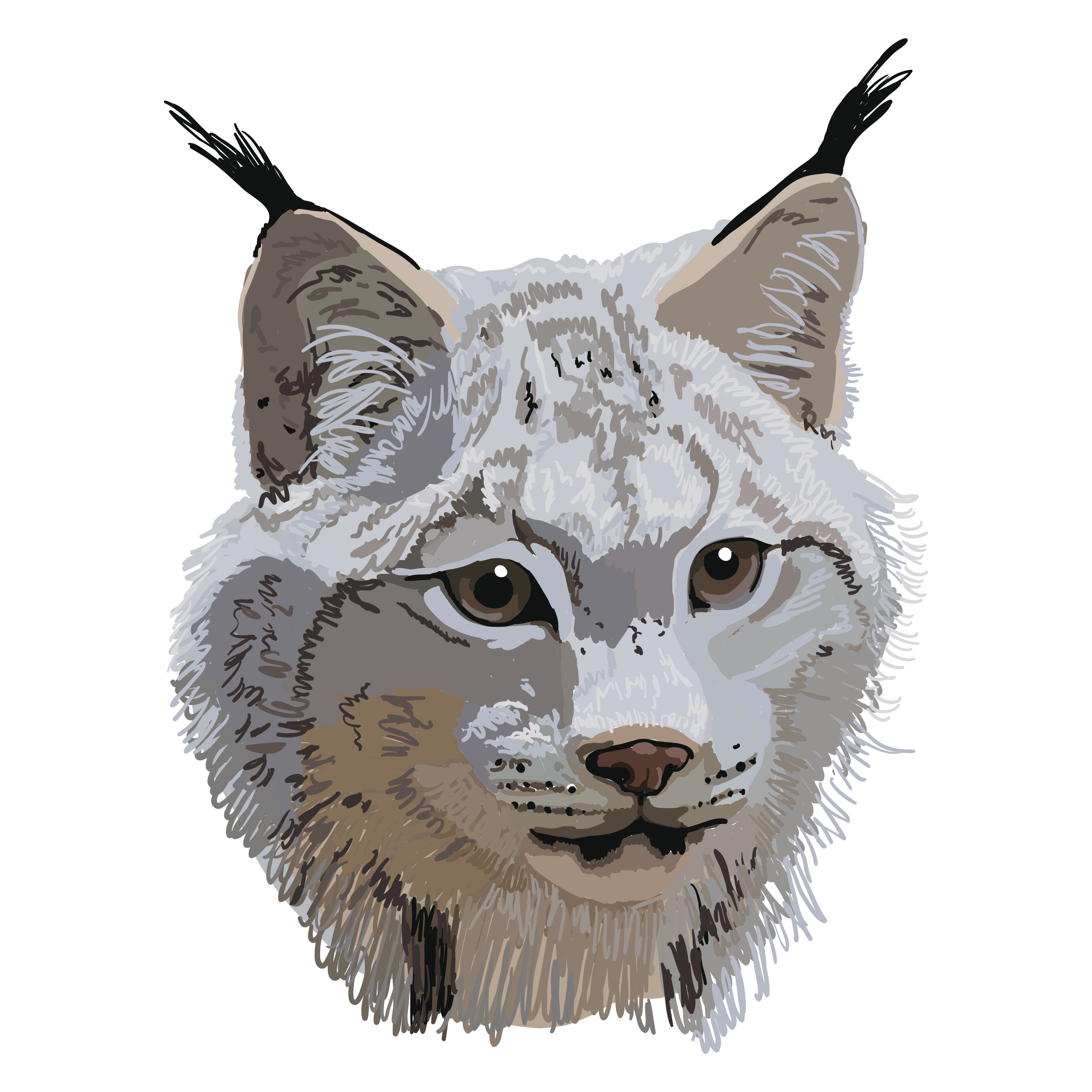 Photo 5 from ROCKY MOUNTAIN WILD INCORPORATED