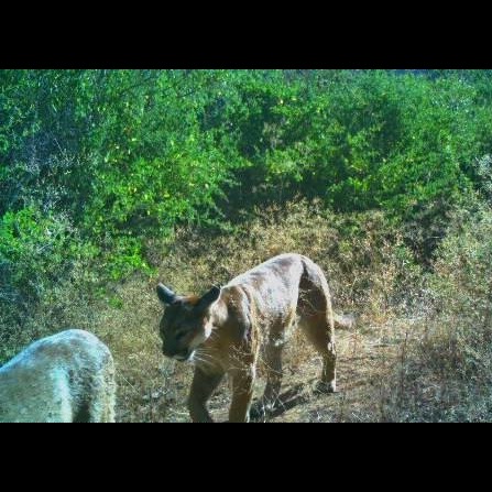 Photo 10 from The San Diego River Park Foundation