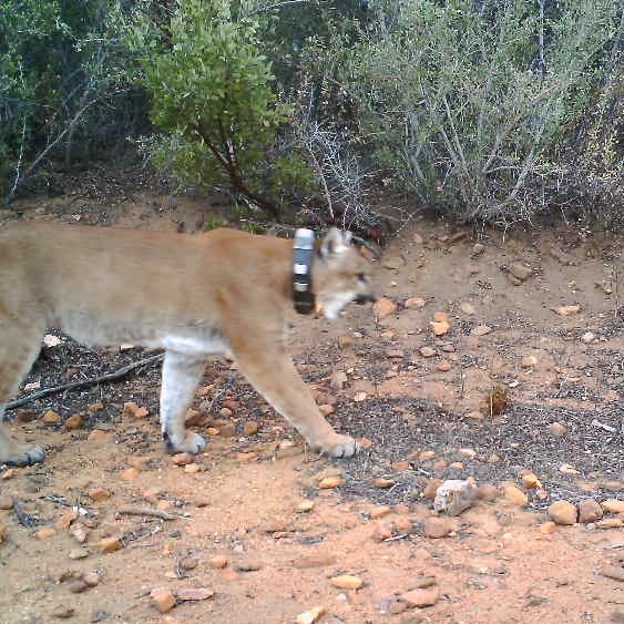 Photo 11 from The San Diego River Park Foundation