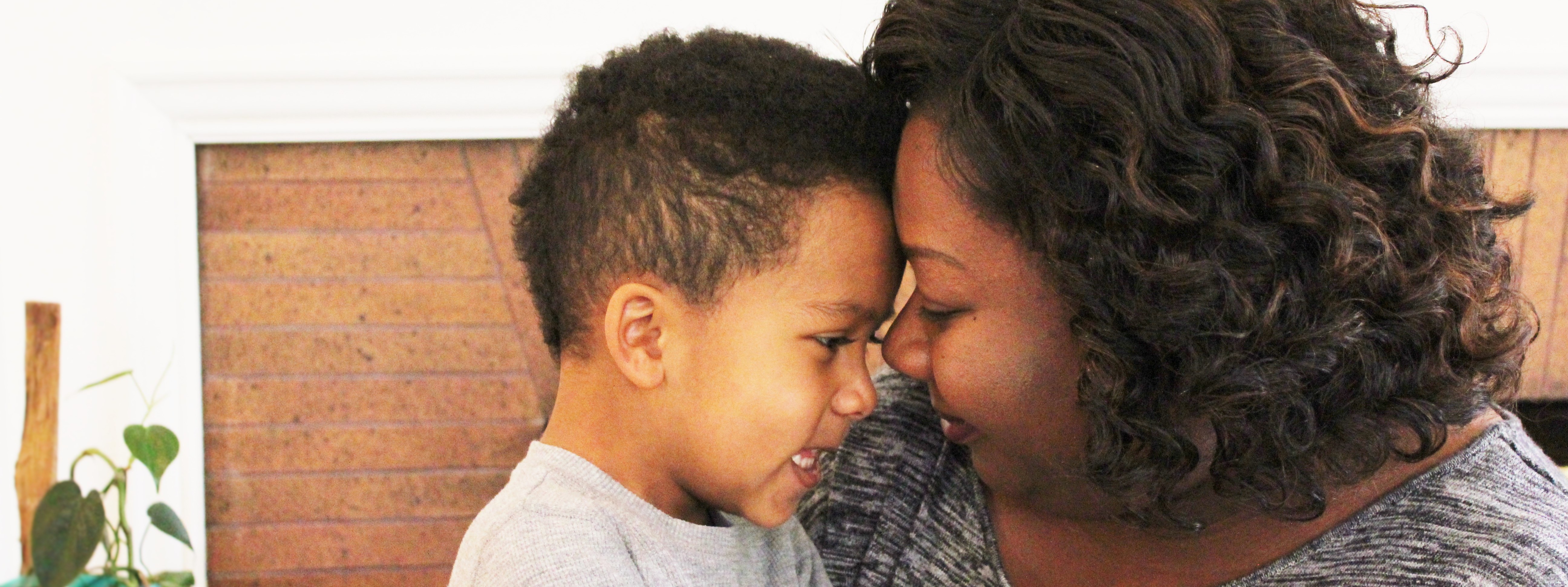 THE BOSTON HOUSE cover