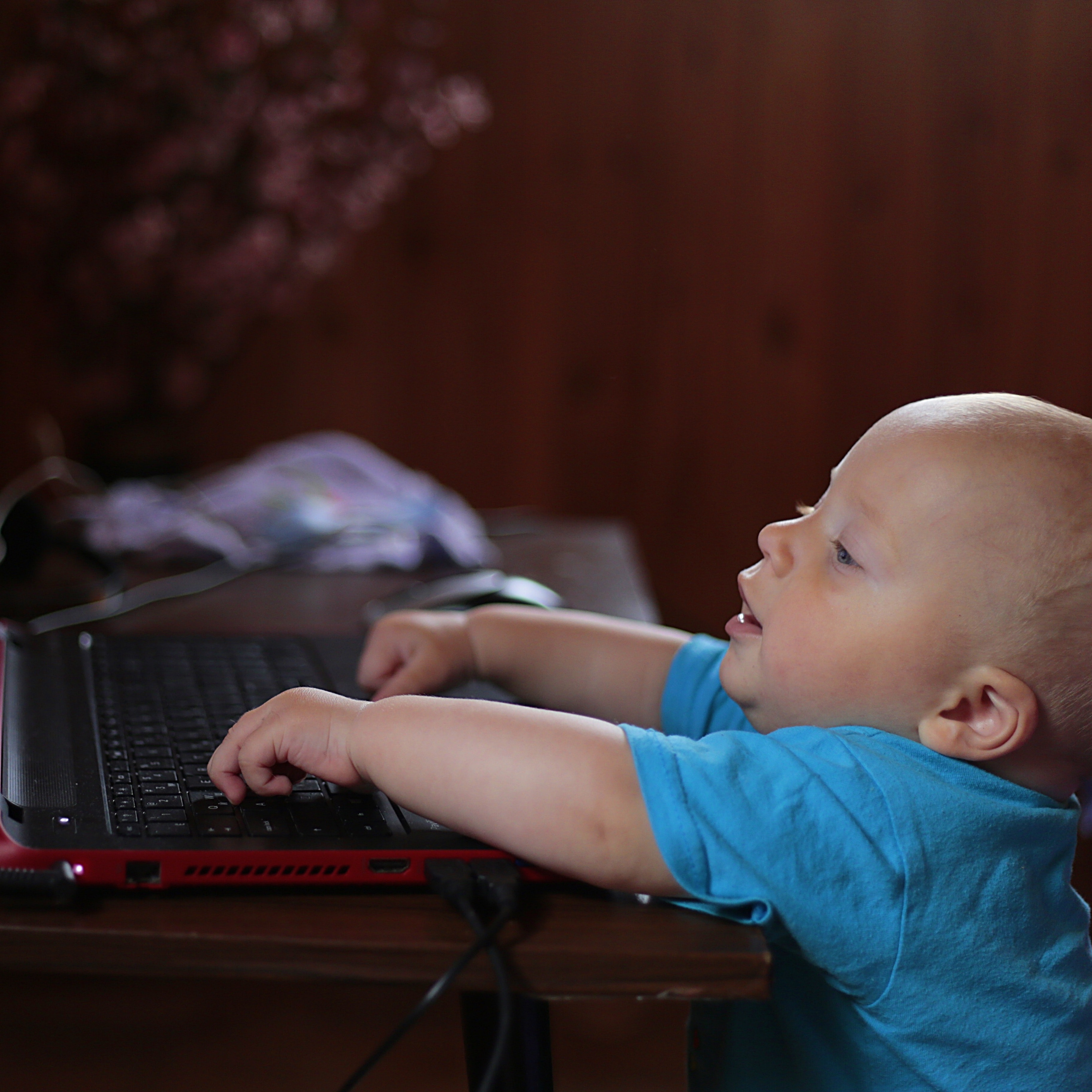 Photo 2 from Necessities for Children