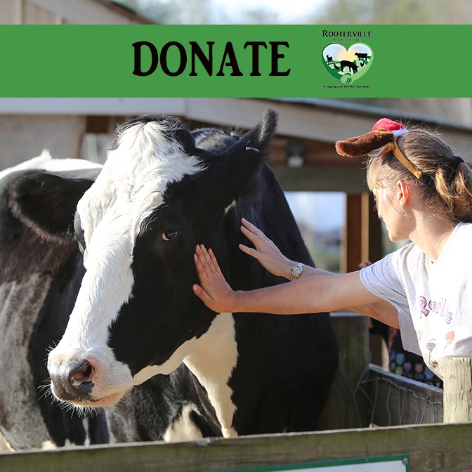 Photo 5 from Rooterville Animal Sanctuary