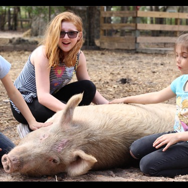 Photo 1 from Rooterville Animal Sanctuary