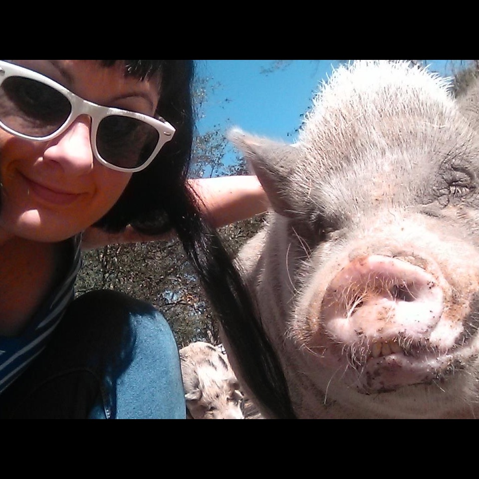 Photo 7 from Rooterville Animal Sanctuary