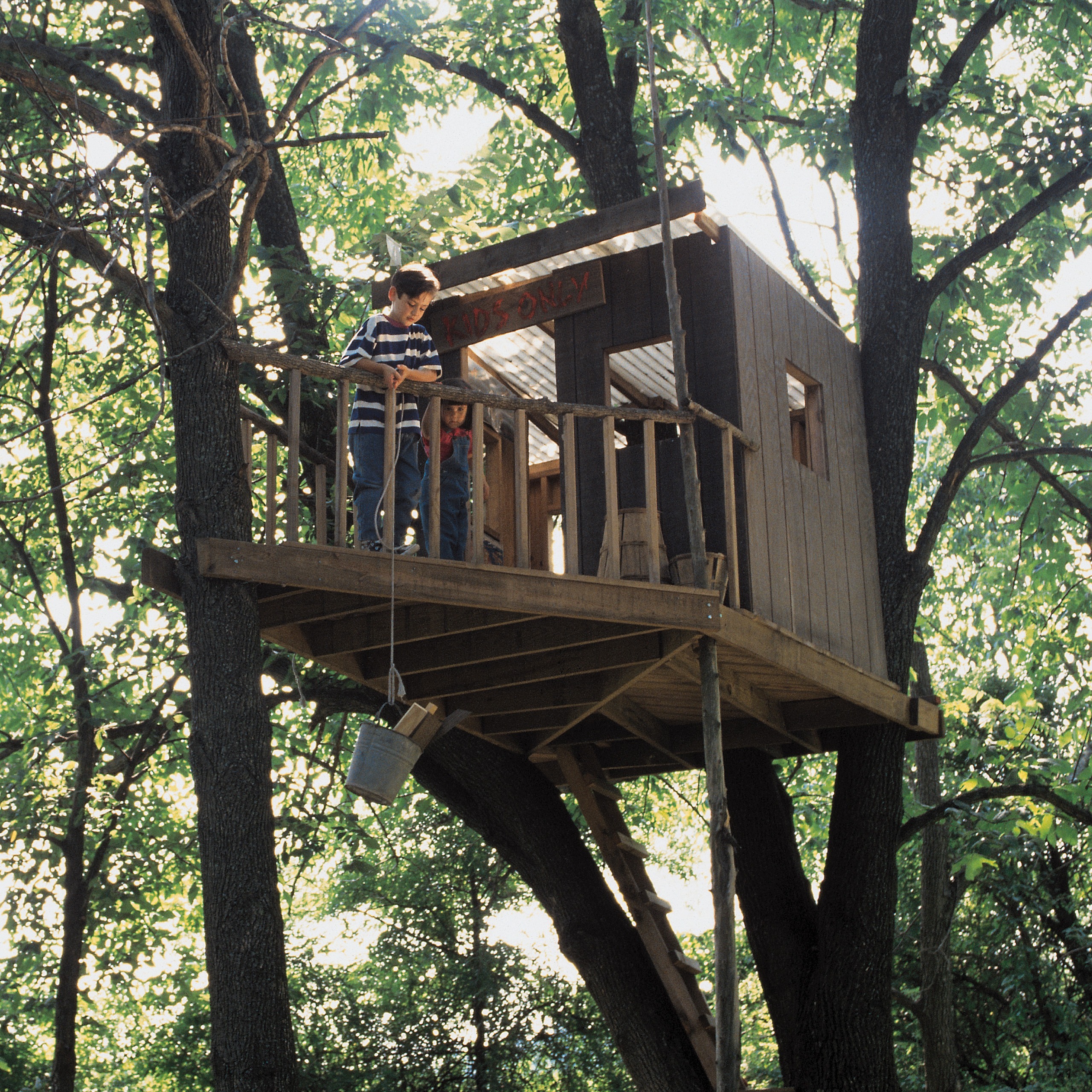 Photo 7 from Manhood Journey