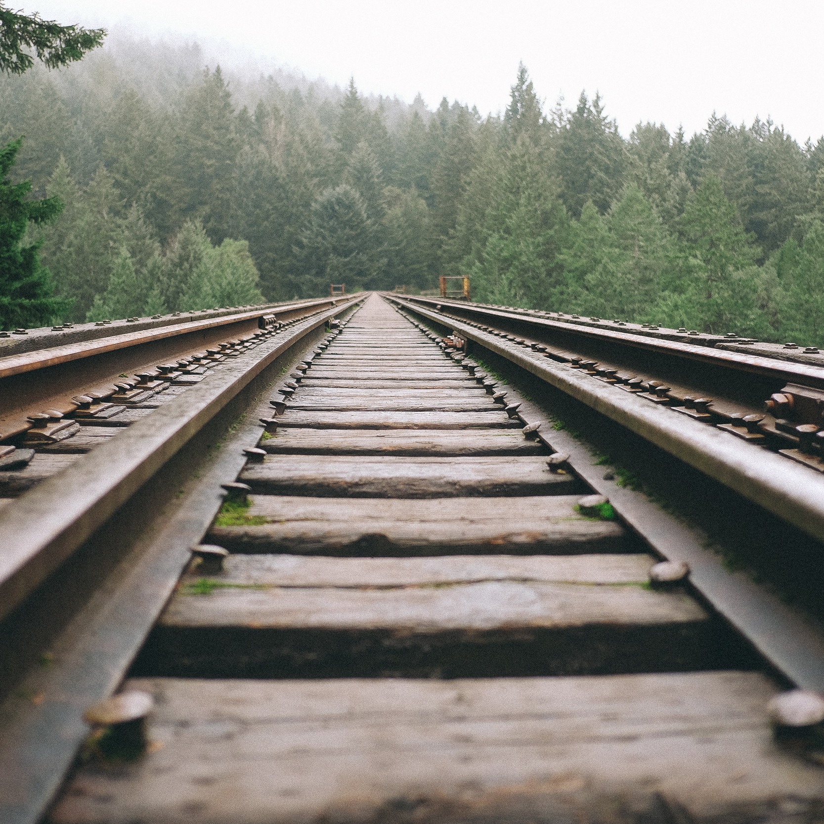 Photo 6 from Manhood Journey