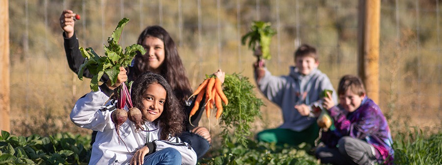 The Hunger Coalition