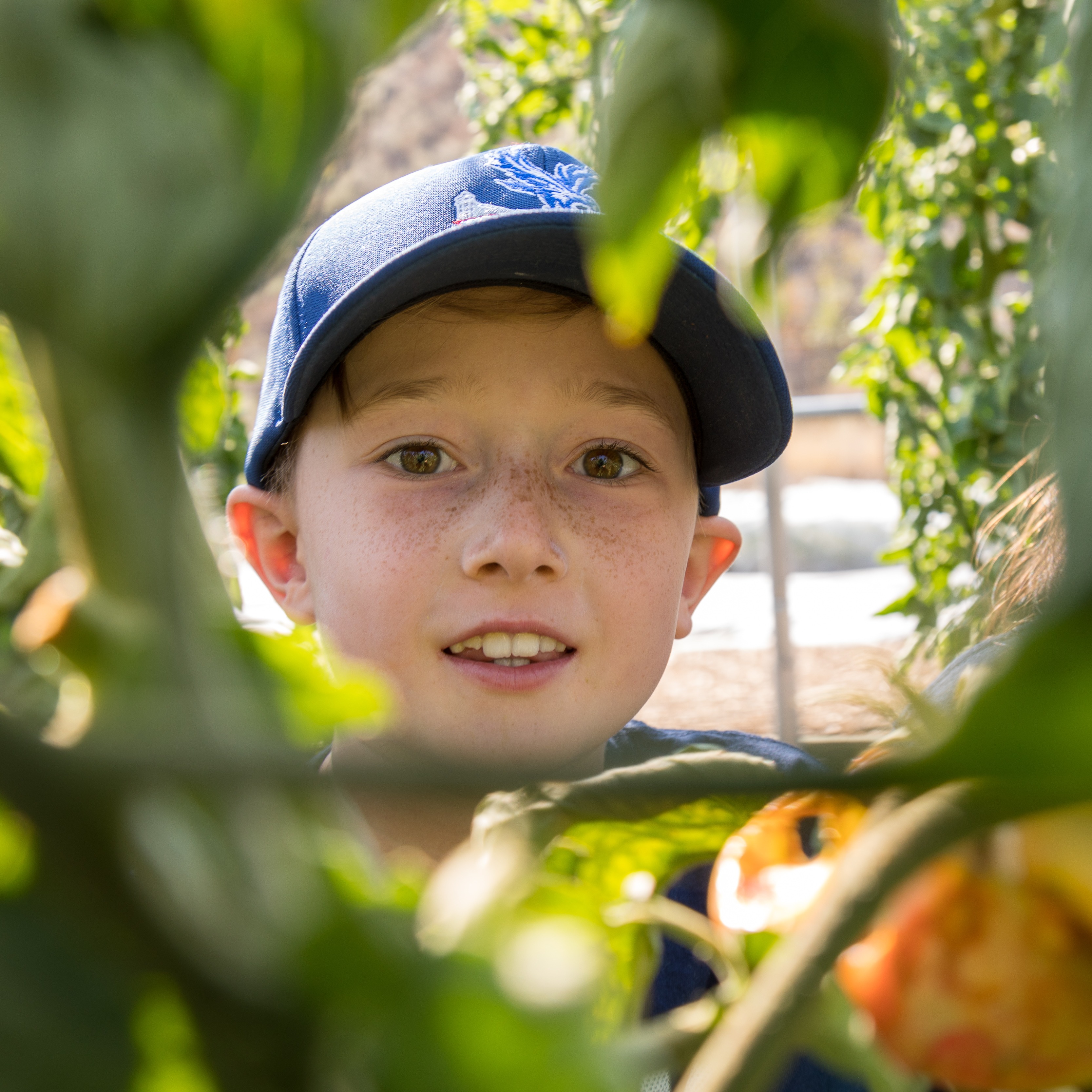 Photo 12 from The Hunger Coalition