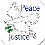 NEW HAMPSHIRE PEACE ACTION EDUCATION FUND