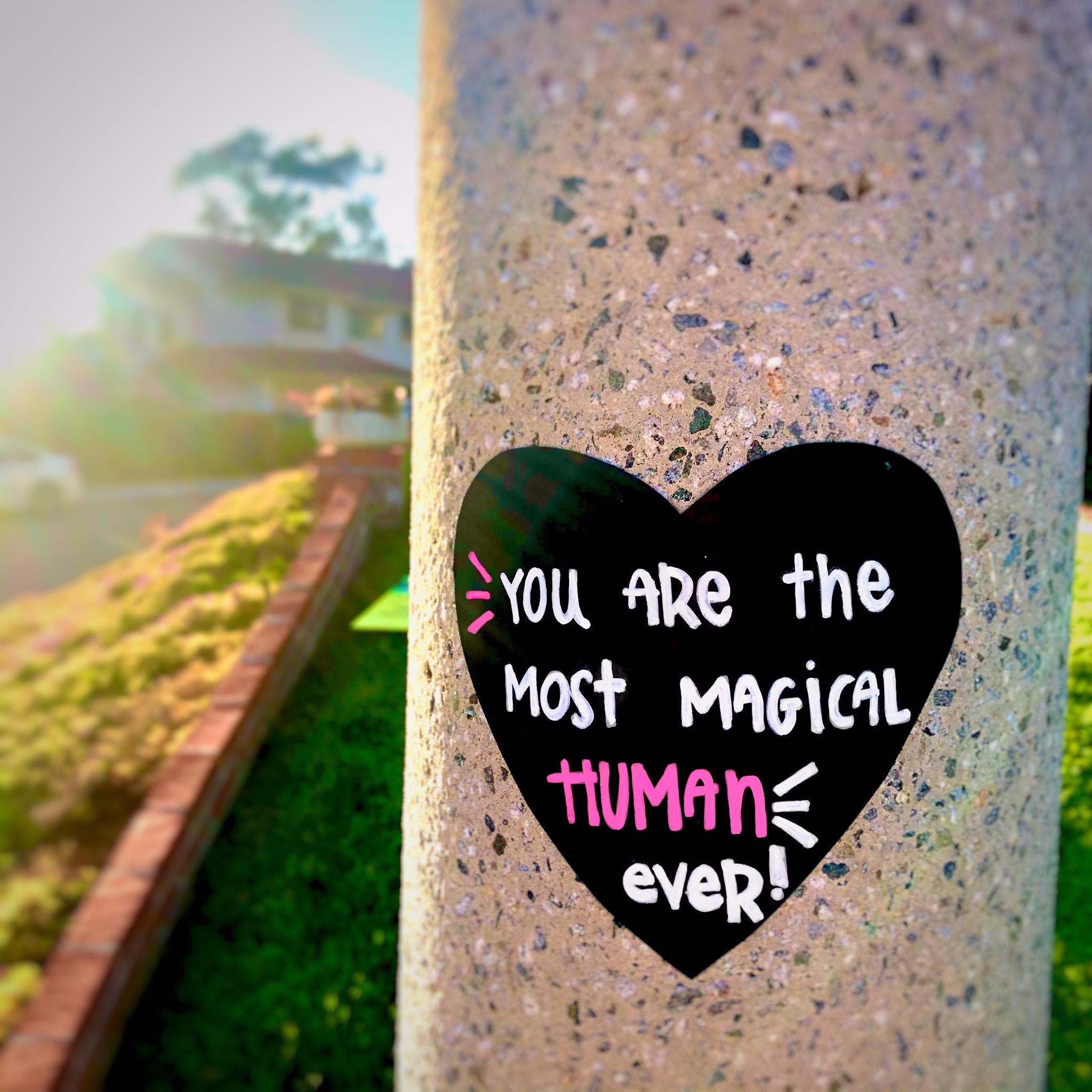 Photo 1 from Word Rocks Project