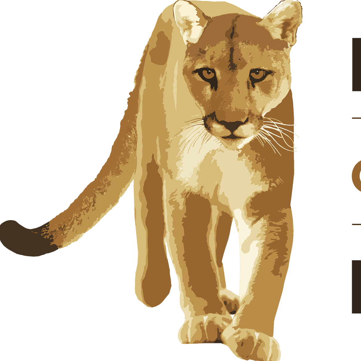 FELIDAE CONSERVATION FUND