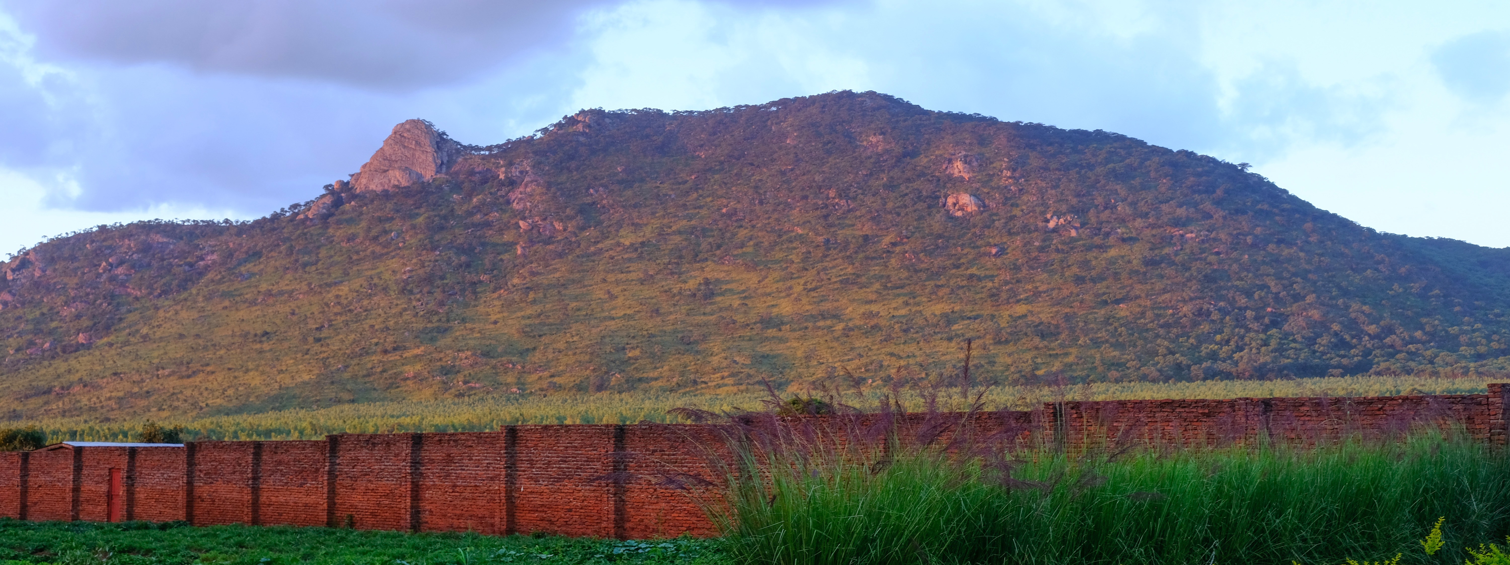 Orant Charities Africa