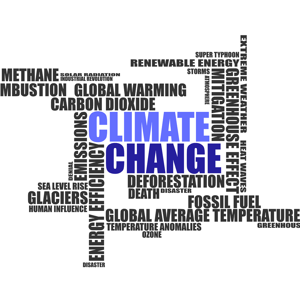 Photo 3 from Go Only Electric