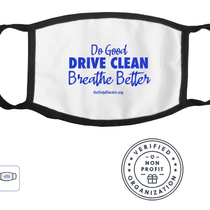 Photo 6 from Go Only Electric