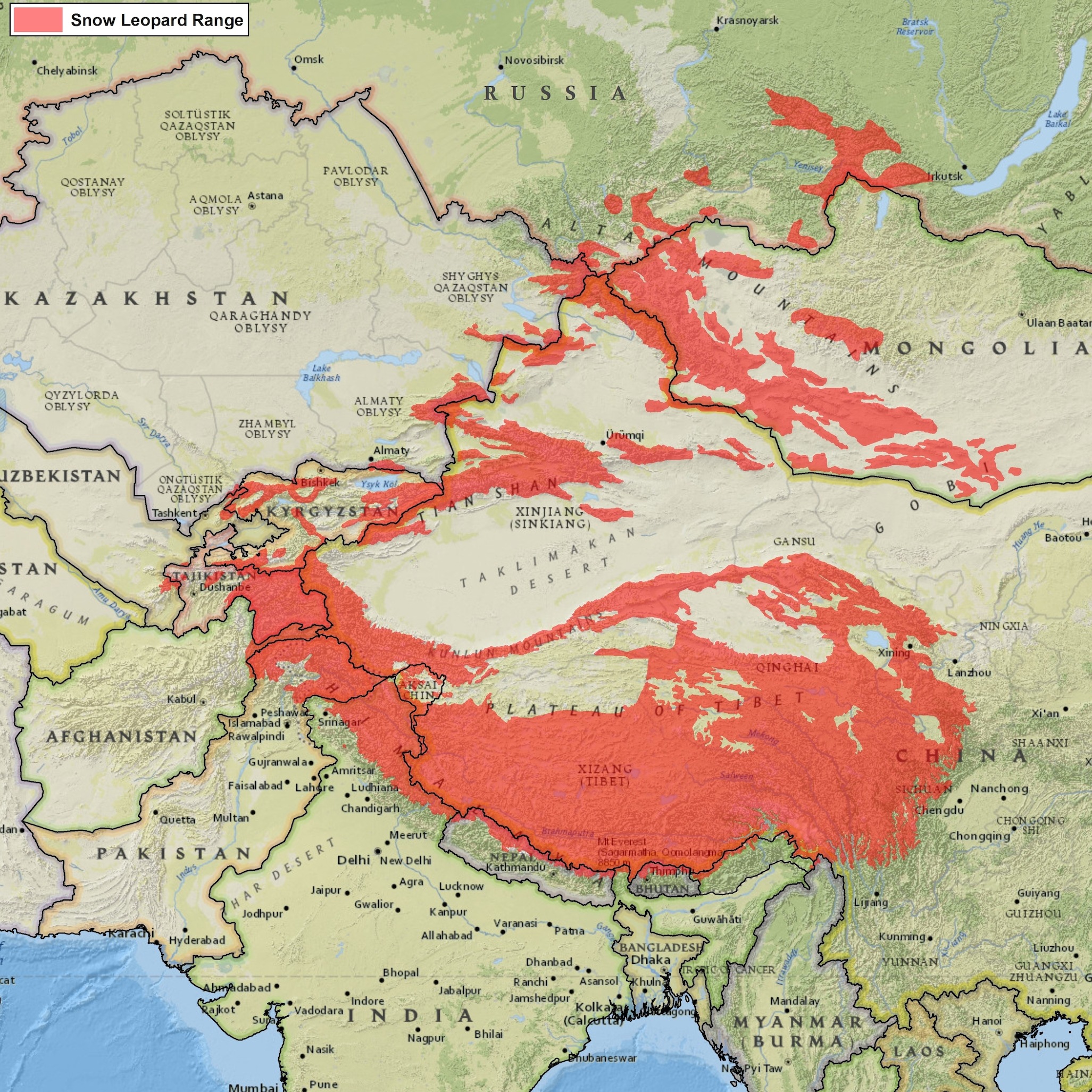 Photo 2 from SNOW LEOPARD CONSERVANCY