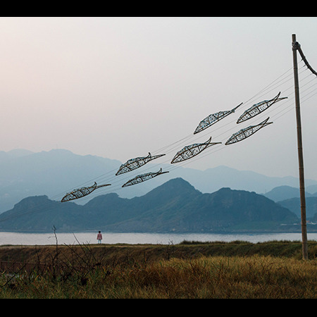 Photo 8 from TransCultural Exchange