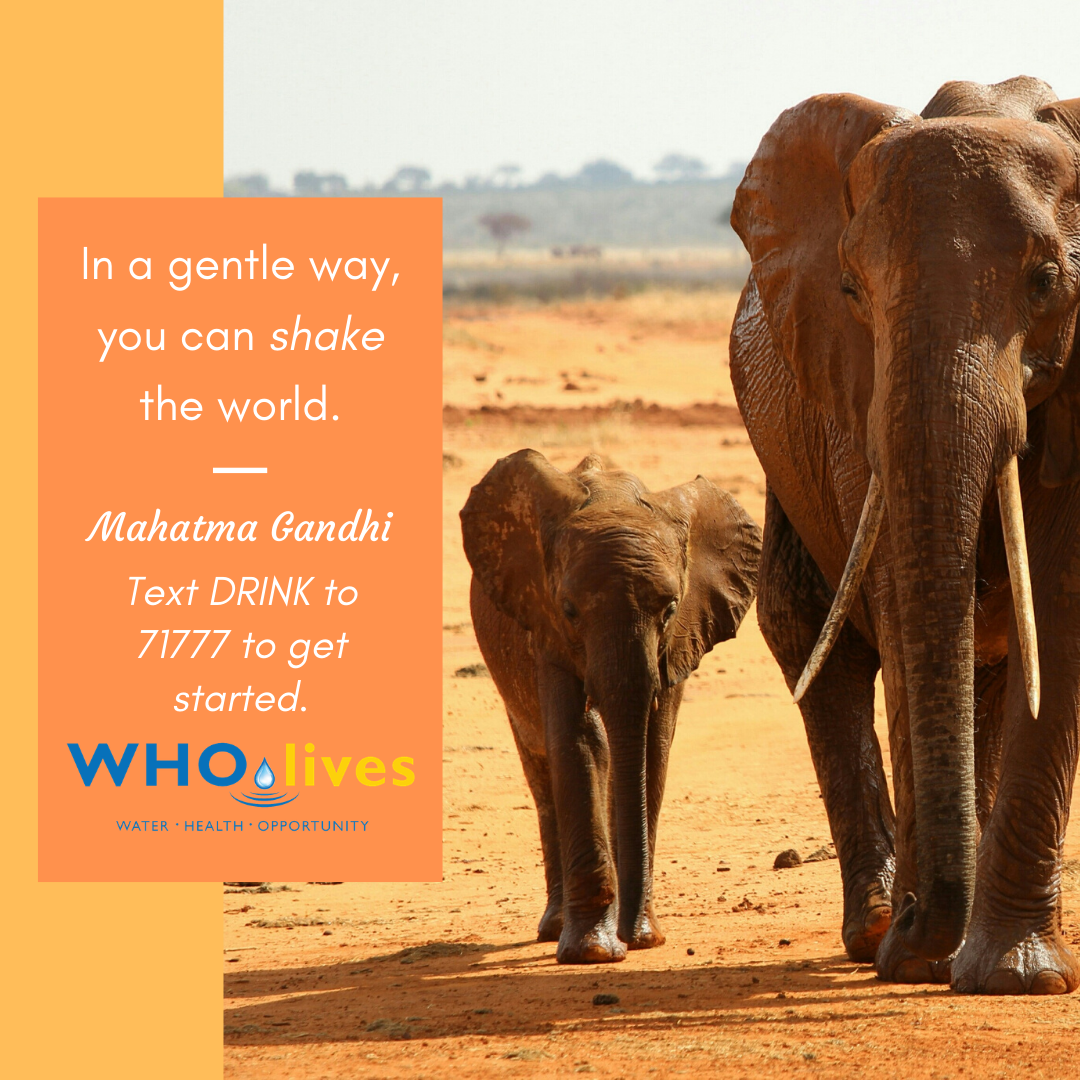 Photo 2 from WHOLIVES