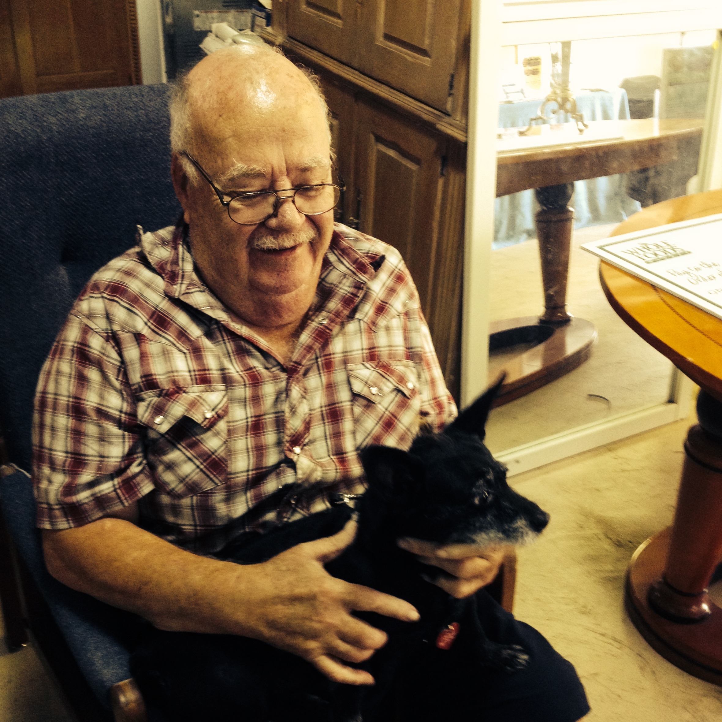 Photo 2 from Pet Project for Pets, Inc.