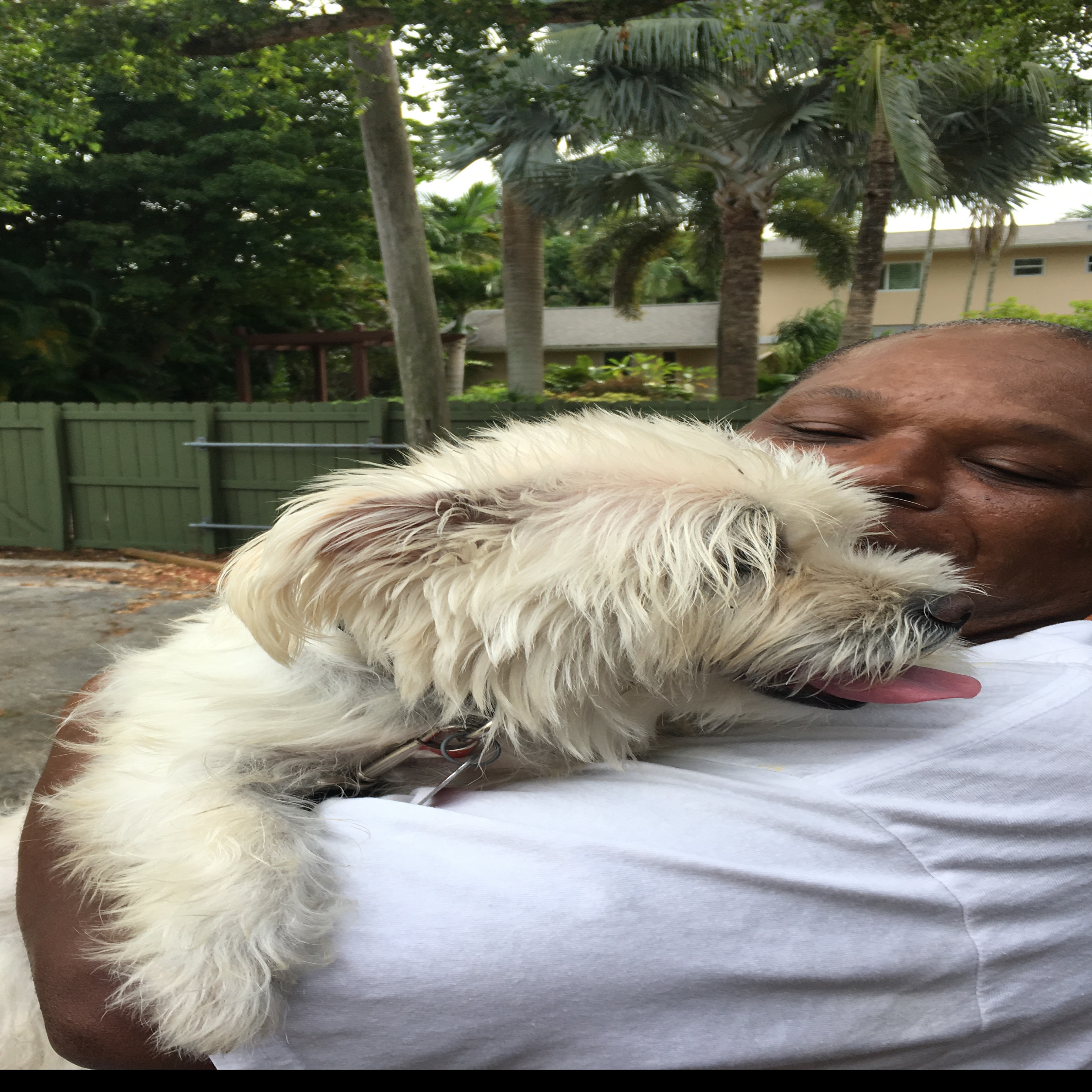 Photo 3 from Pet Project for Pets, Inc.