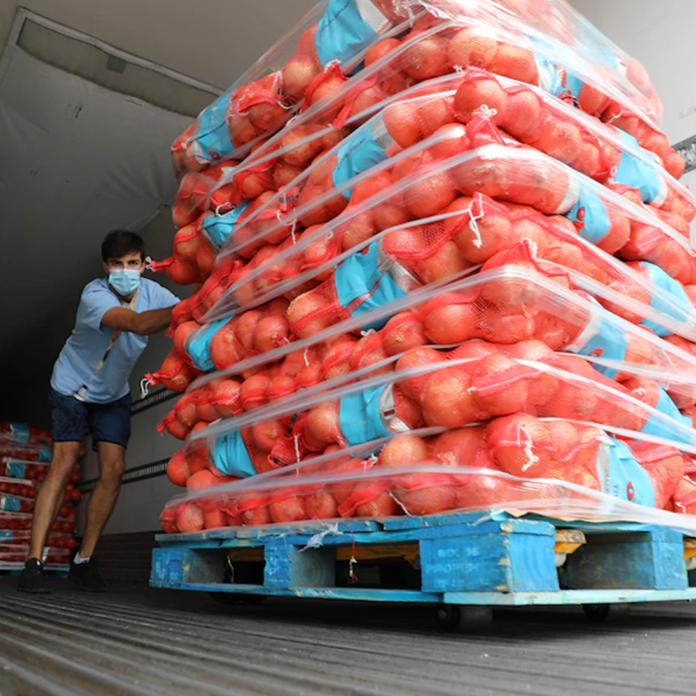 Photo 10 from Food Finders, Inc.