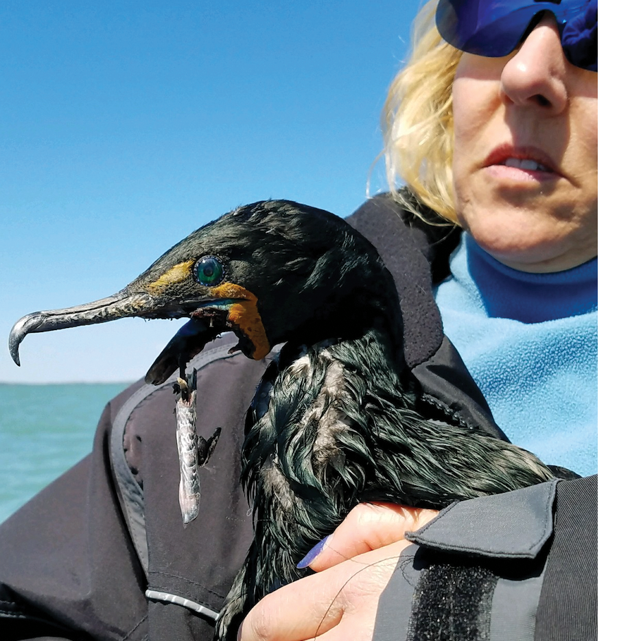 Photo 7 from SHowing Animals Respect and Kindness - SHARK