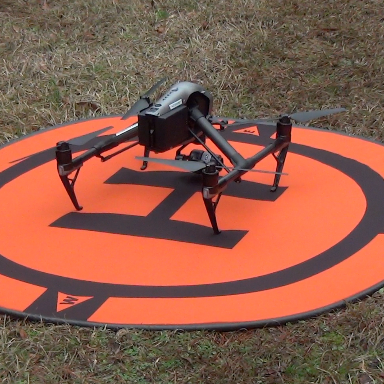 Photo 9 from SHowing Animals Respect and Kindness - SHARK