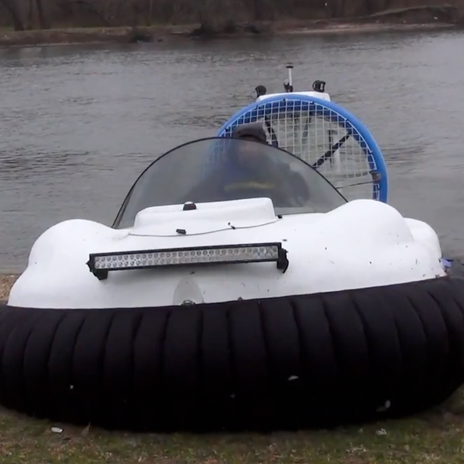 Photo 11 from SHowing Animals Respect and Kindness - SHARK