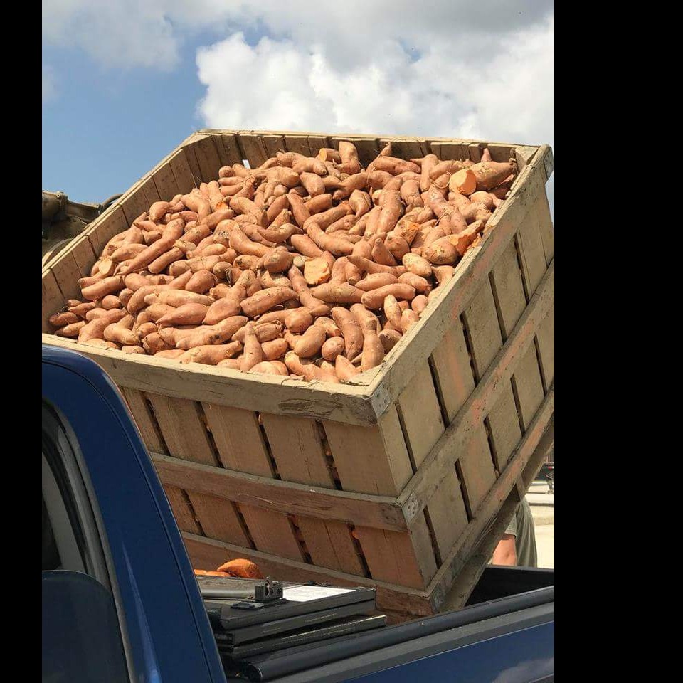 Photo 7 from The Society of Saint Andrew