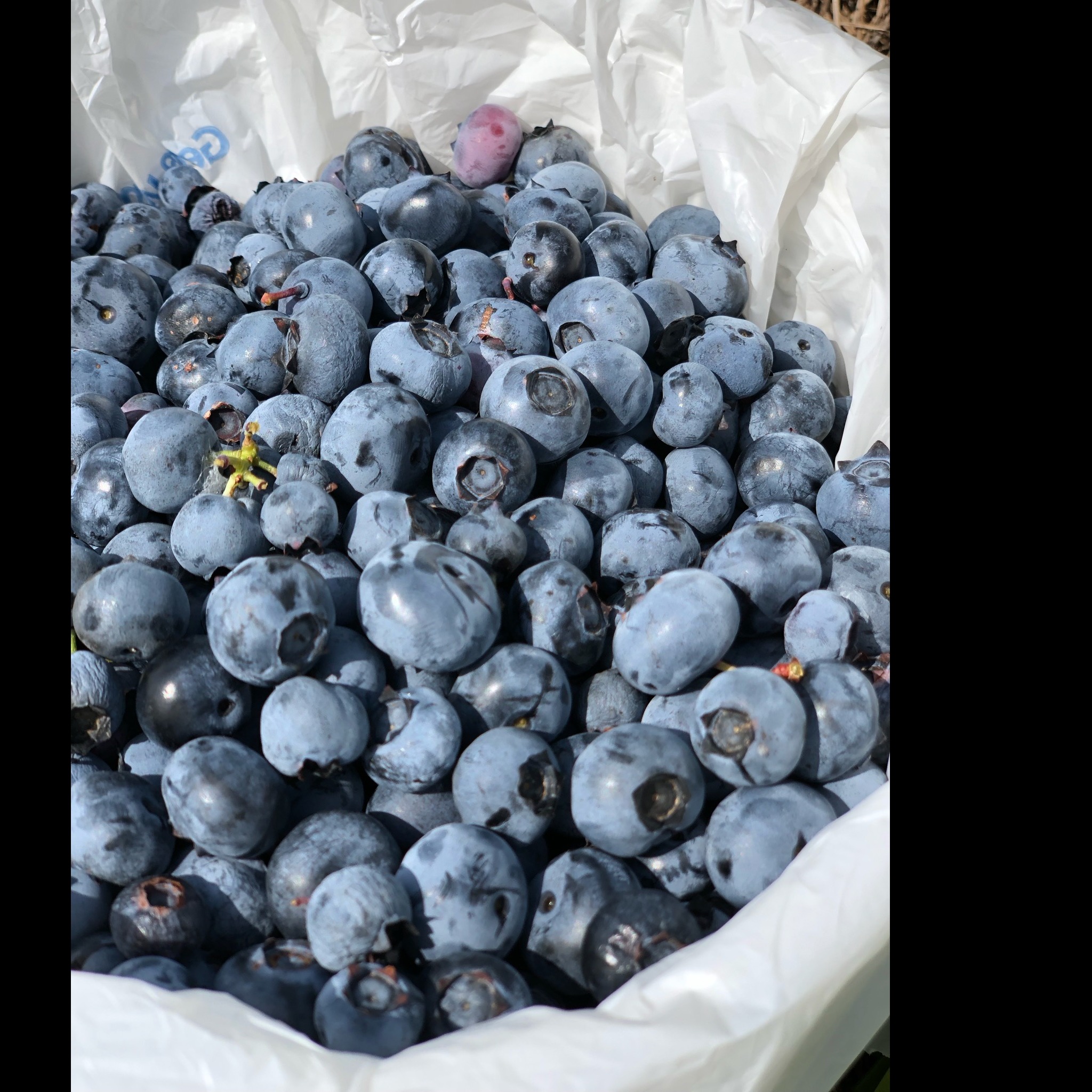 Photo 9 from The Society of Saint Andrew