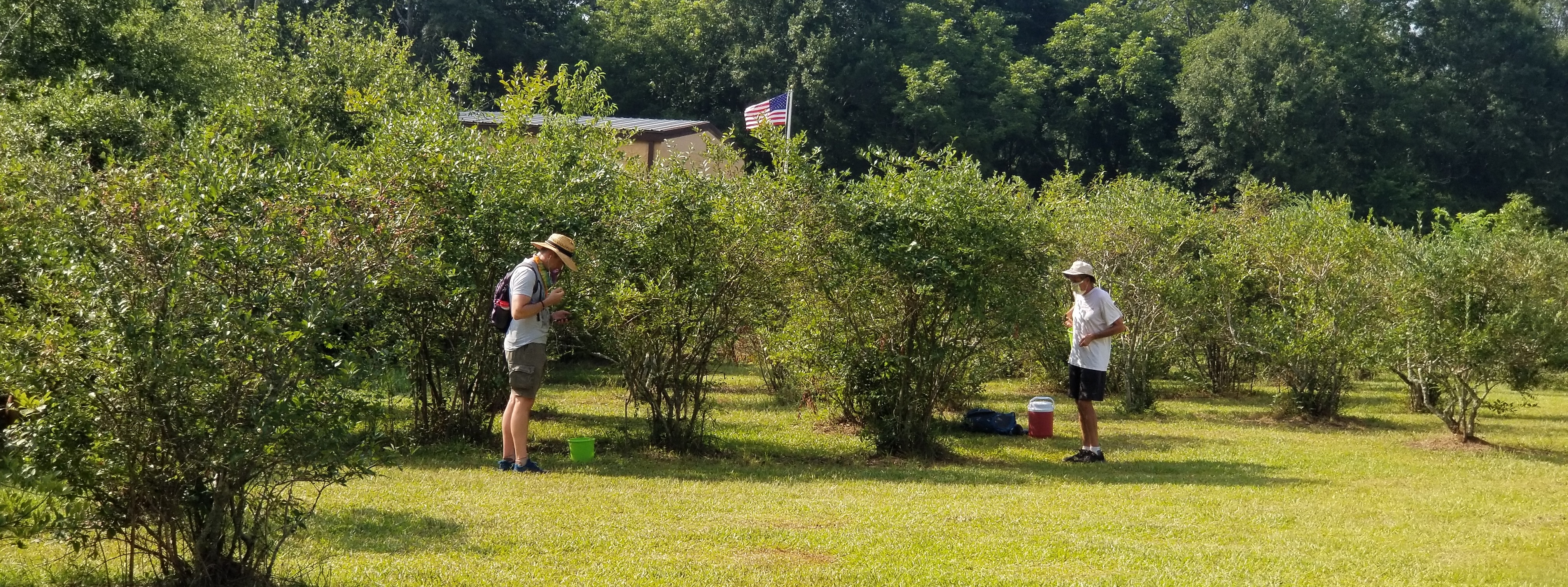 The Society of Saint Andrew