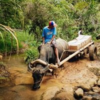 Photo 1 from EVANGELISTIC INTERNATIONAL MINISTRIES INC