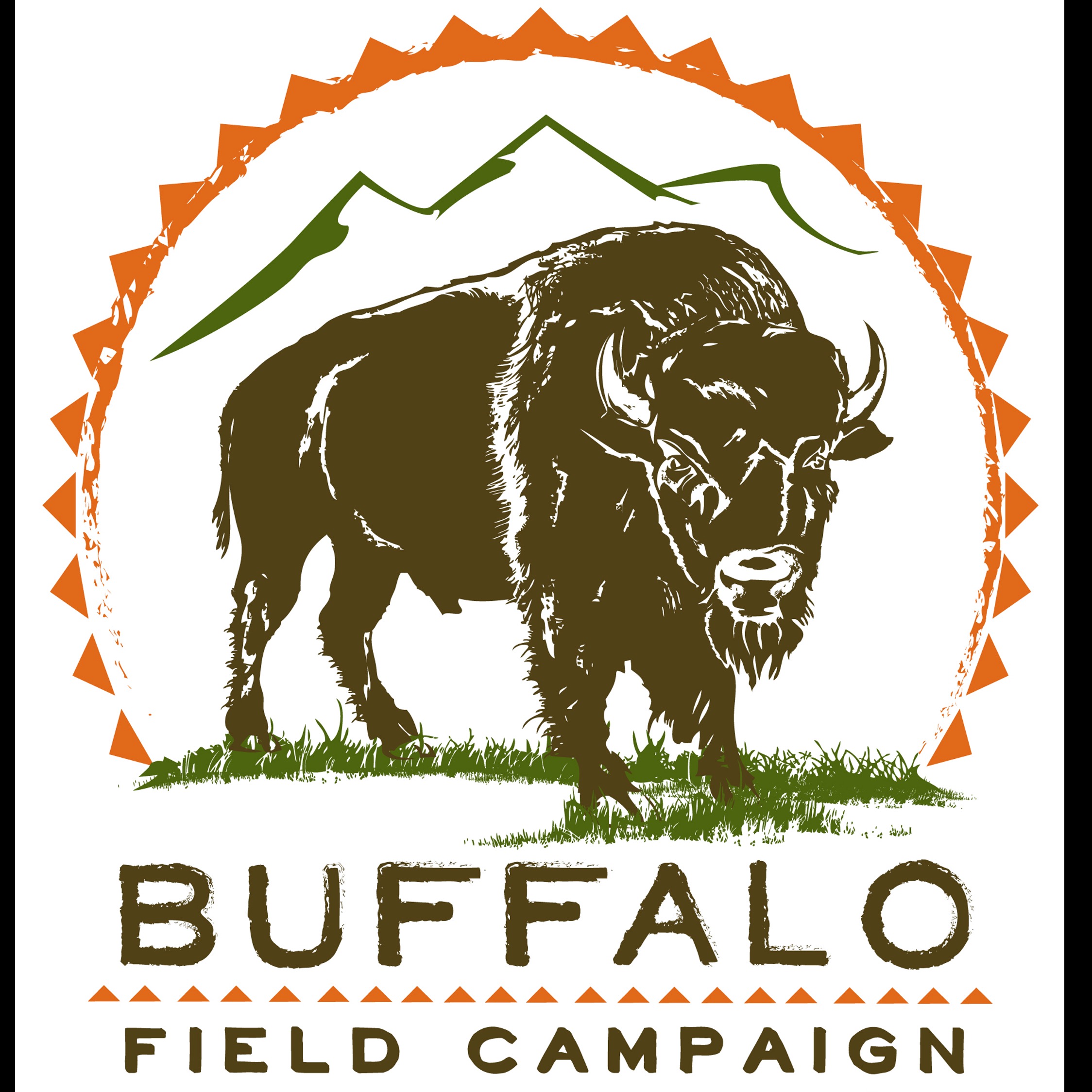 BUFFALO FIELD CAMPAIGN