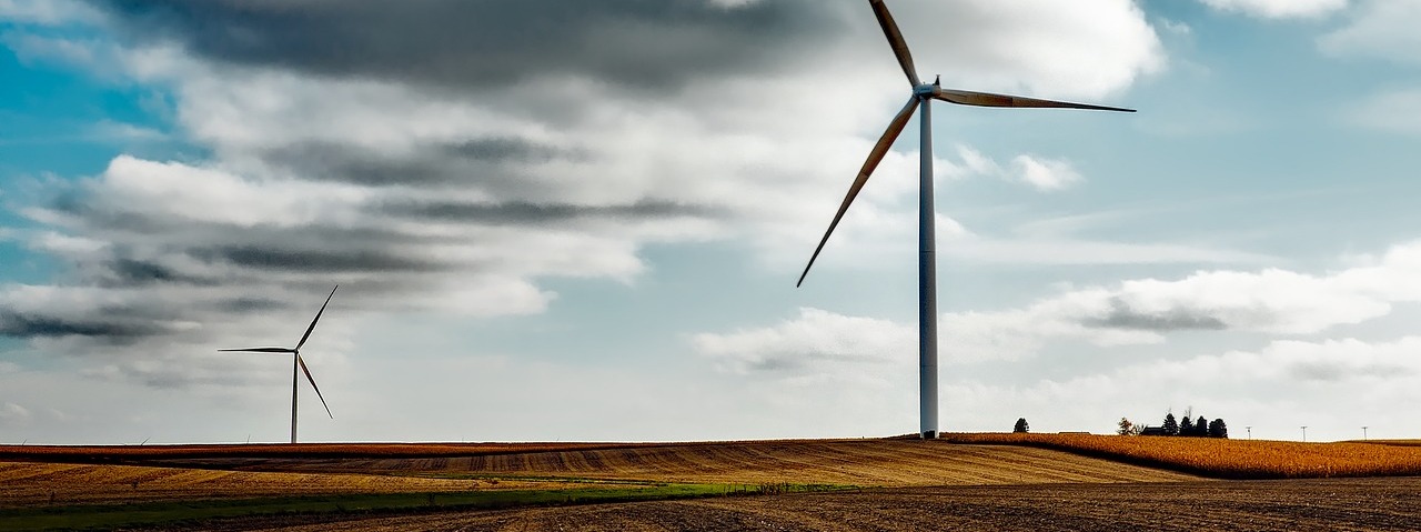 The Environmental and Energy Study Institute cover