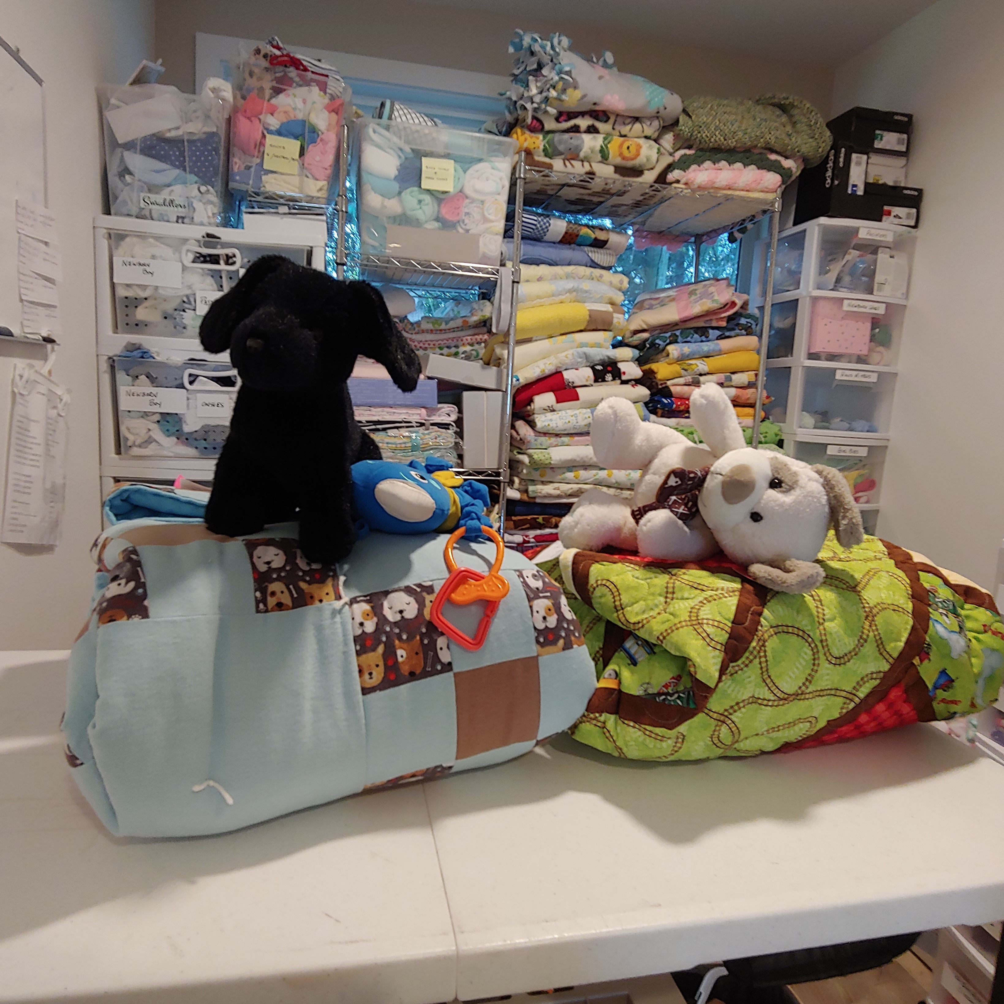 Photo 6 from Next Step Pregnancy Services