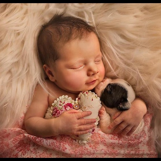 Photo 8 from Next Step Pregnancy Services