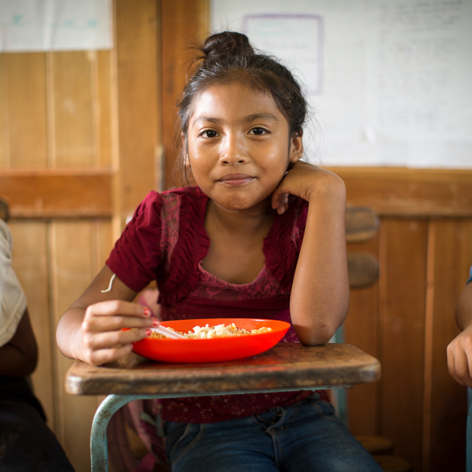 Photo 3 from The Rainbow Network