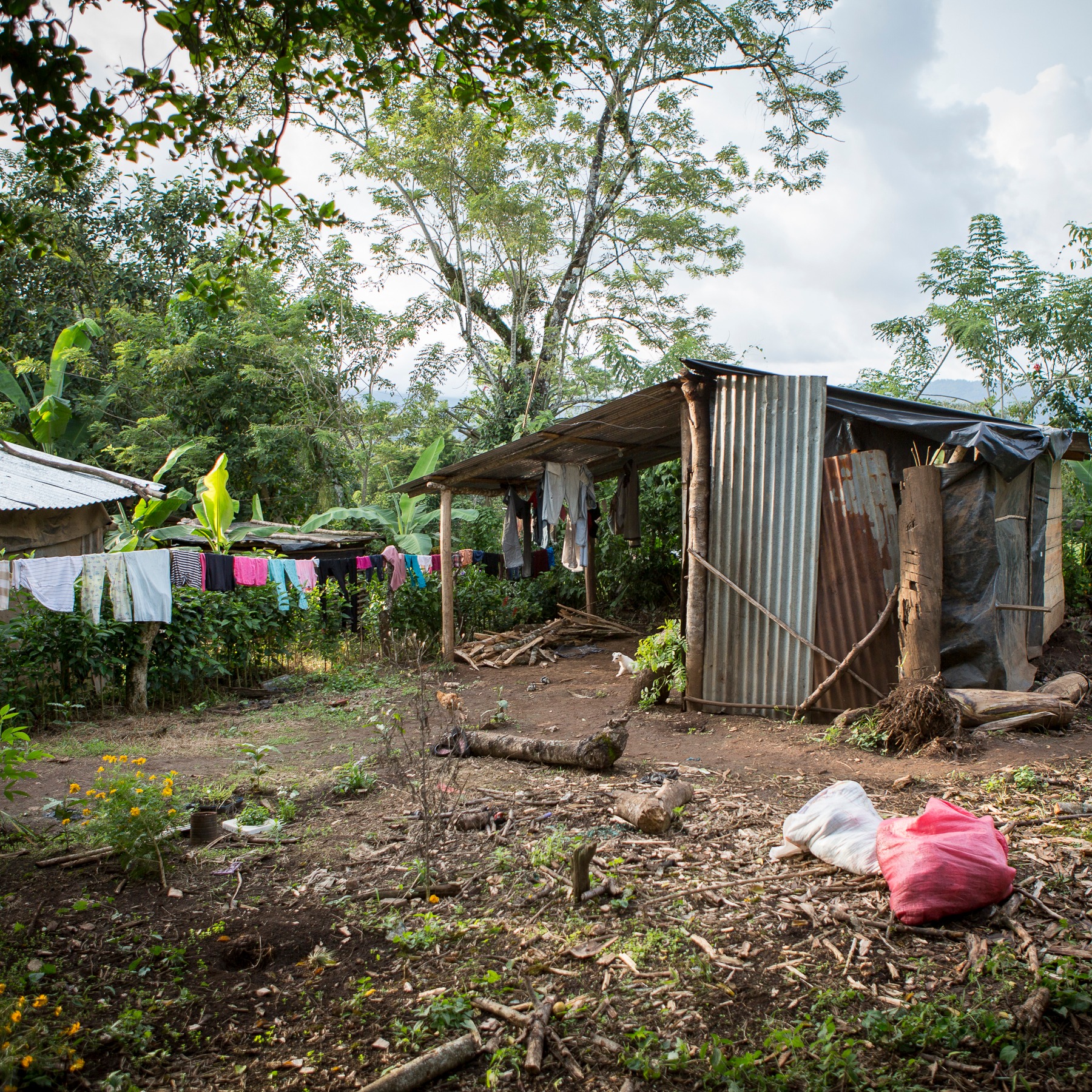 Photo 5 from The Rainbow Network