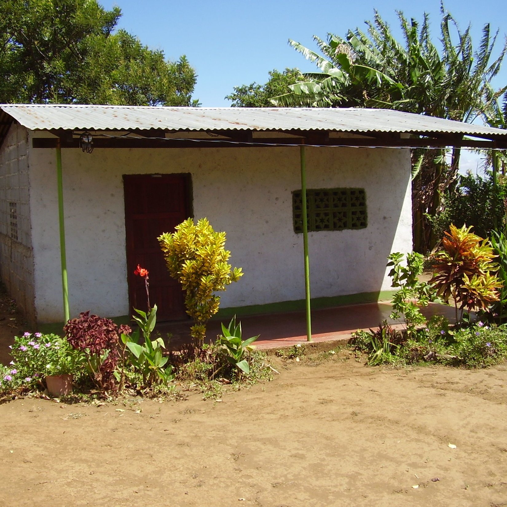 Photo 7 from The Rainbow Network