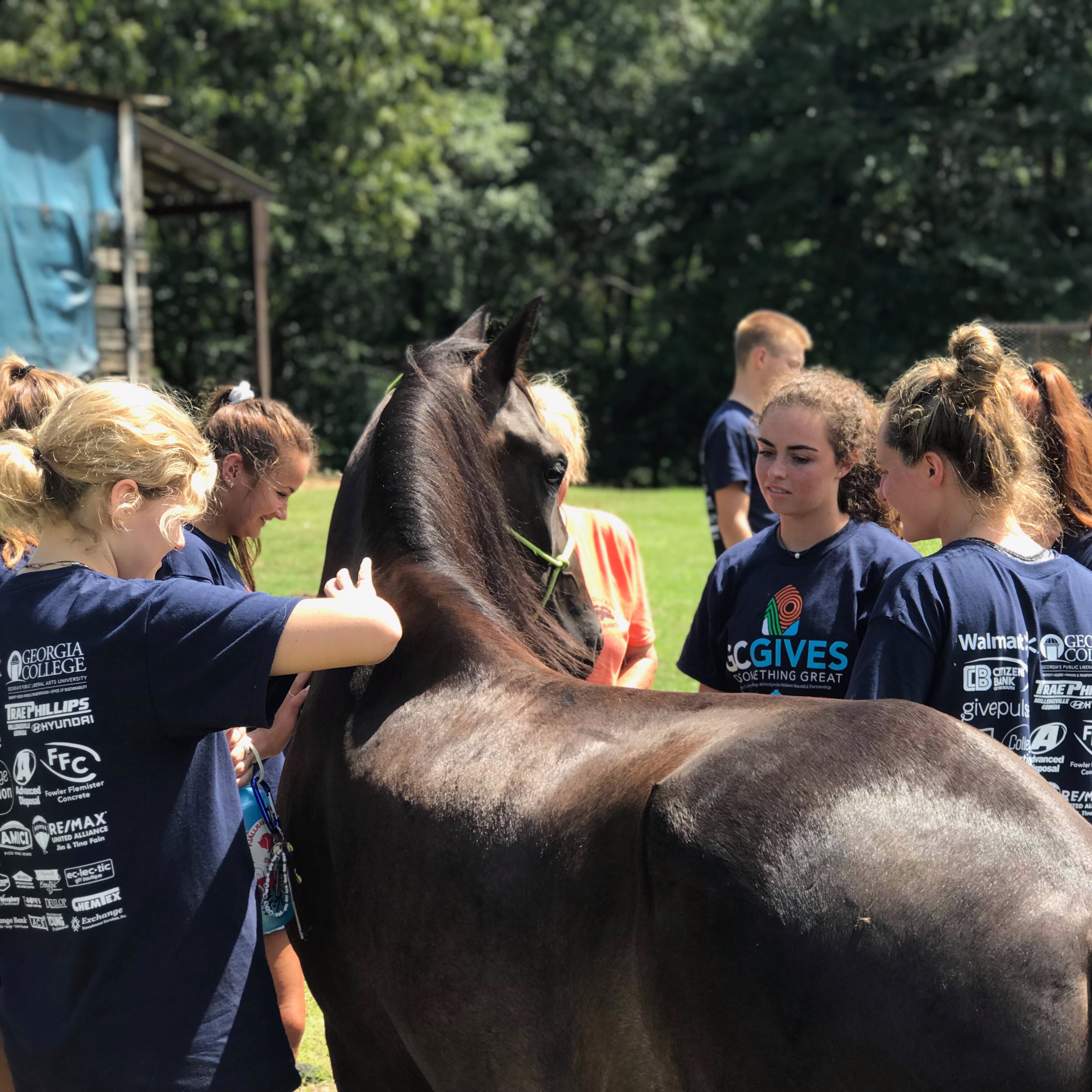 Photo 5 from The Mentor Coach Foundation