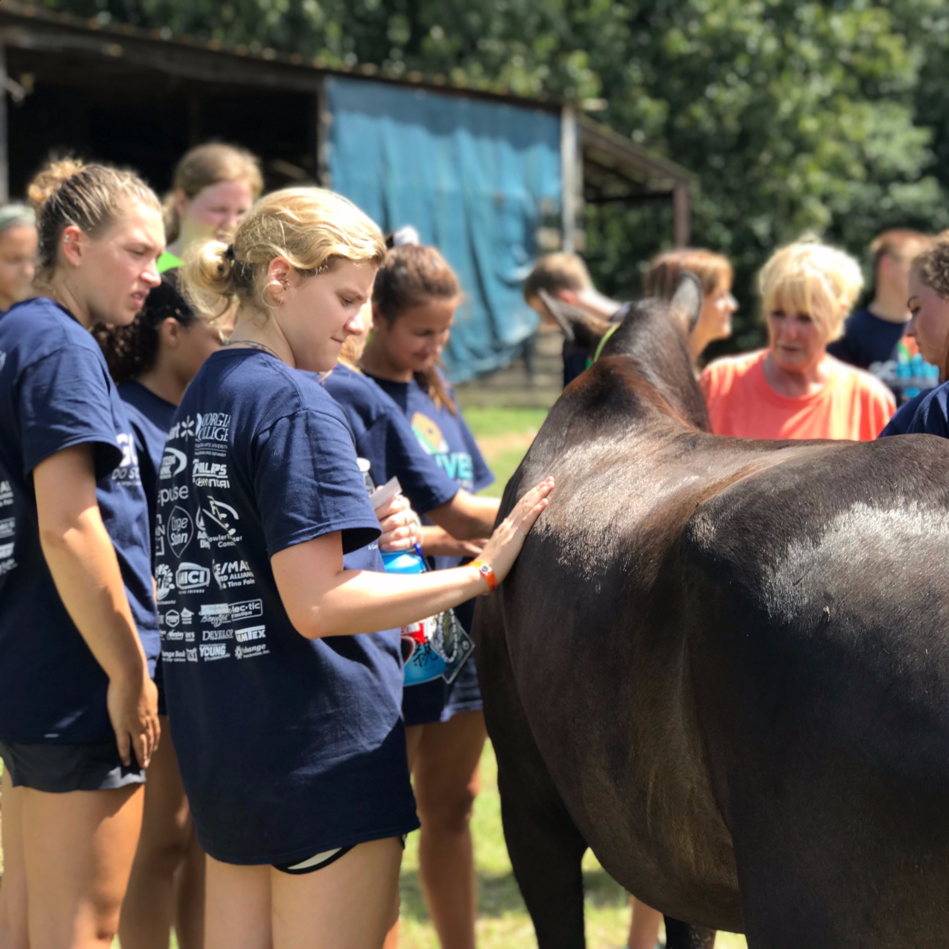 Photo 6 from The Mentor Coach Foundation