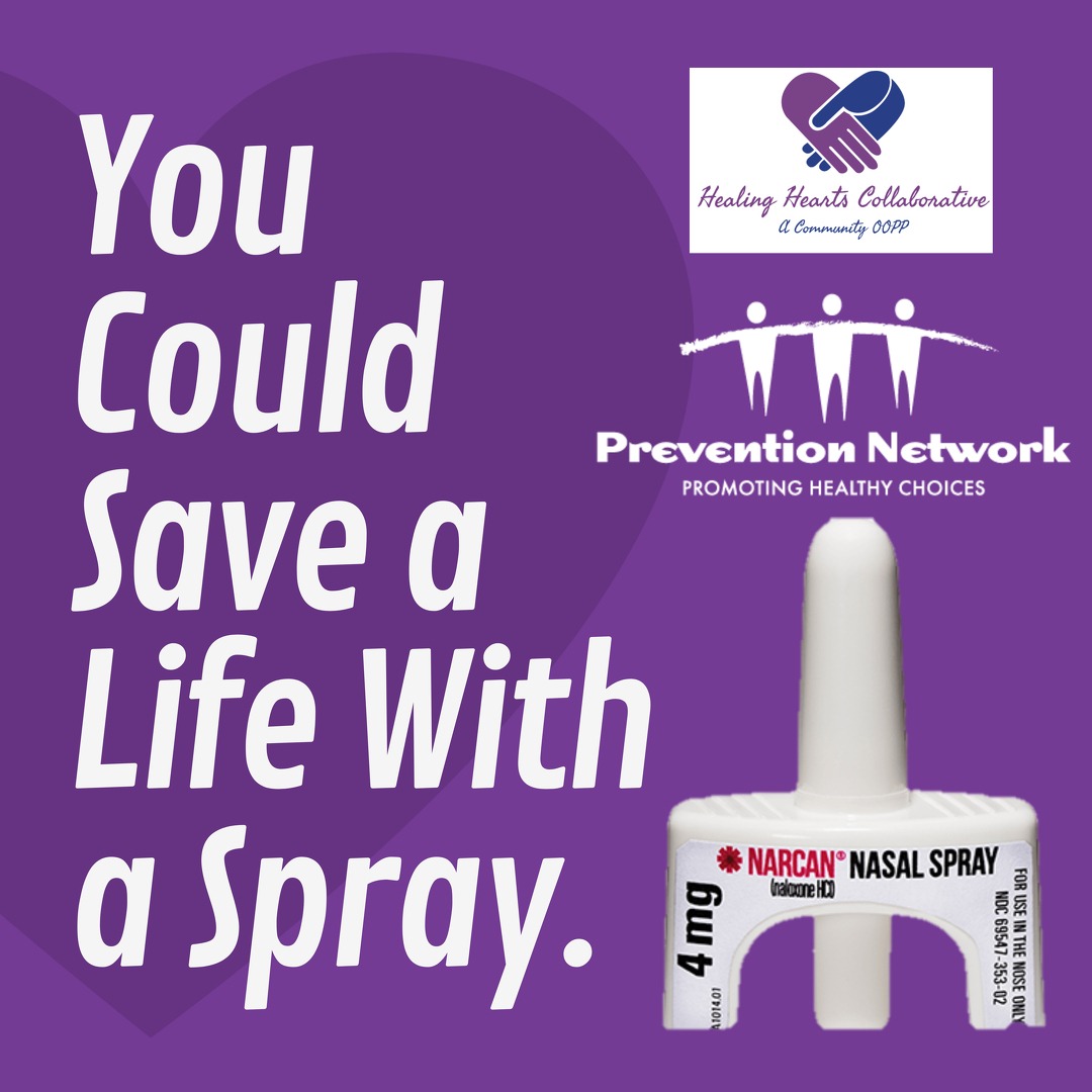 Photo 3 from Prevention Network