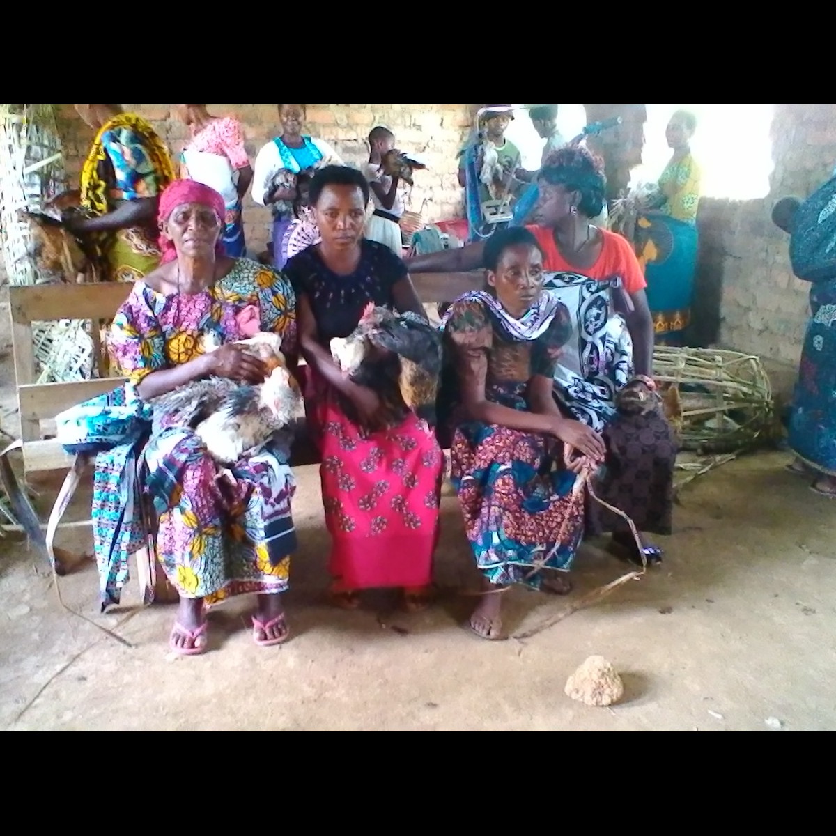 Photo 3 from AFRICA BRIDGE