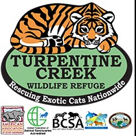 TURPENTINE CREEK FOUNDATION INC